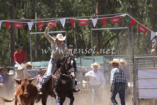 pictonrodeo2013kjs_0108_1