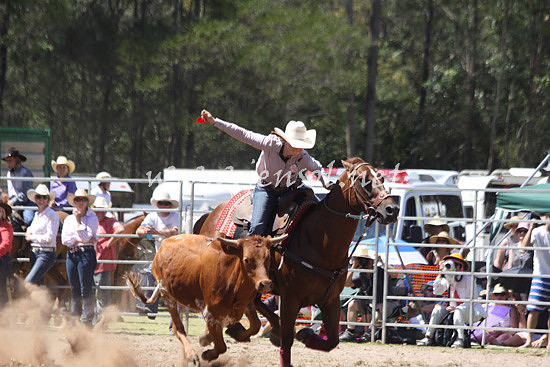 pictonrodeo2013kjs_0258_1