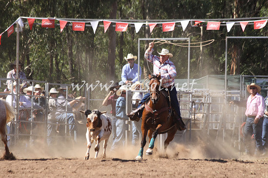 pictonrodeo2013kjs_0770_1