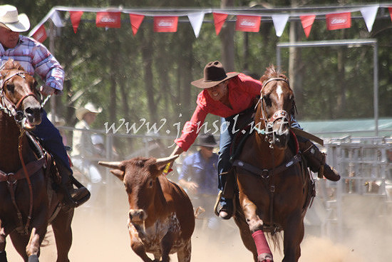 pictonrodeo2013kjs_0227_1