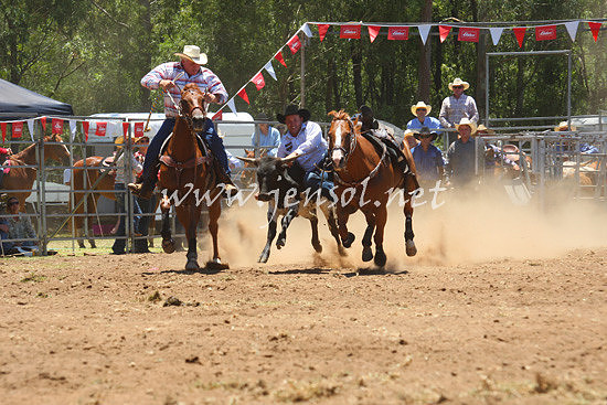 pictonrodeo2013one_0460_1