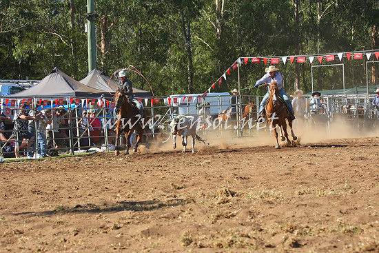 pictonrodeo2013one_0679_1