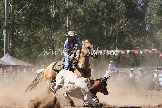 pictonrodeo2013kjs_0739_1