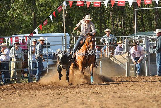 pictonrodeo2013one_0836_1