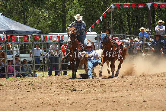 pictonrodeo2013one_0434_1