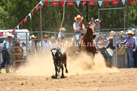 pictonrodeo2013one_0377_1