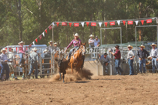 pictonrodeo2013one_0577_1