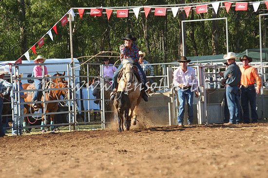 pictonrodeo2013one_0815_1