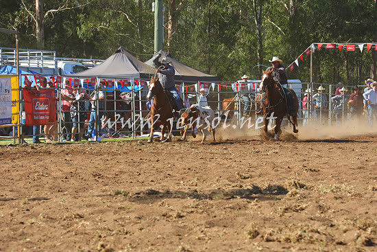 pictonrodeo2013one_0689_1