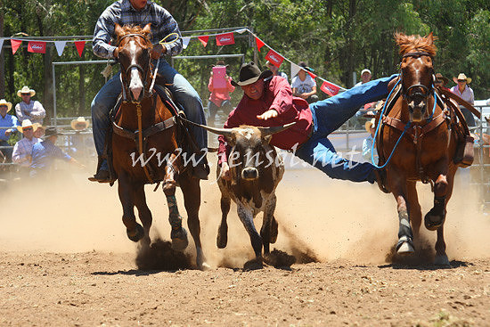 pictonrodeo2013one_0452_1