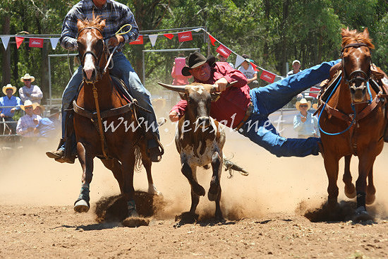 pictonrodeo2013one_0453_1