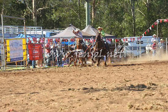 pictonrodeo2013one_0696_1