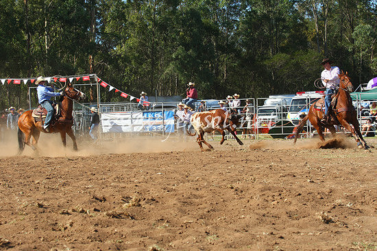 pictonrodeo2013one_0713_1