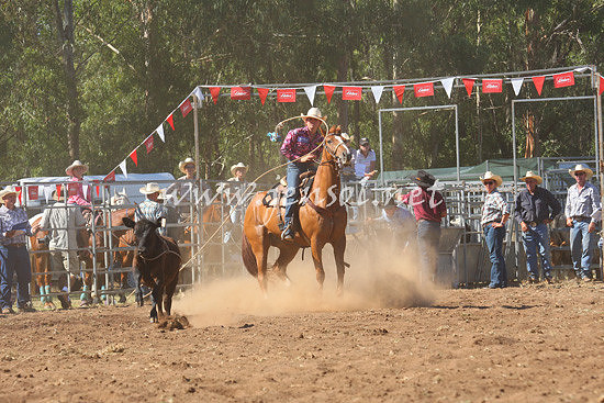 pictonrodeo2013one_0581_1