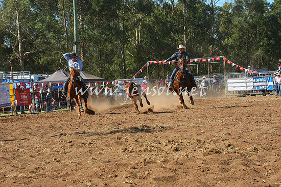 pictonrodeo2013one_0704_1