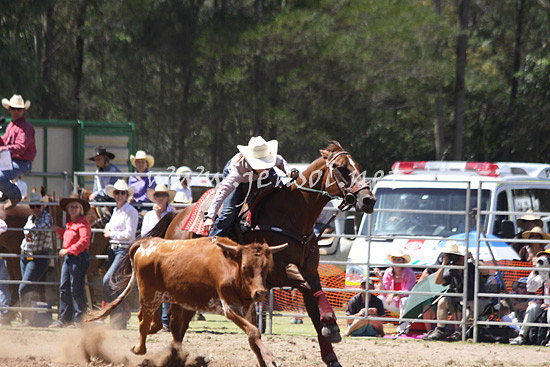 pictonrodeo2013kjs_0257_1
