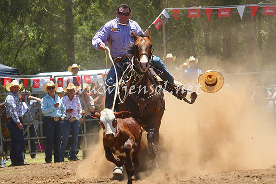 pictonrodeo2013one_0414_1