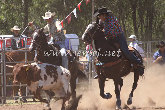 pictonrodeo2013kjs_0232_1
