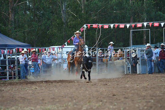 pictonrodeo2013one_0951_1