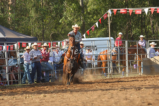 pictonrodeo2013one_0931_1