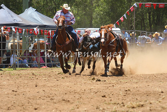 pictonrodeo2013one_0463_1