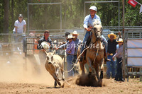 pictonrodeo2013one_0388_1