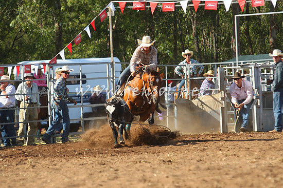 pictonrodeo2013one_0835_1