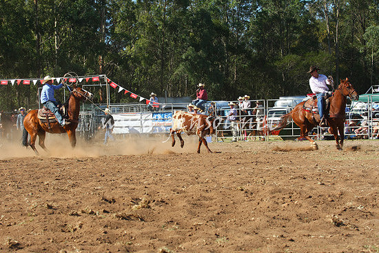 pictonrodeo2013one_0712_1