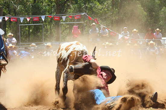 pictonrodeo2013one_0457_1