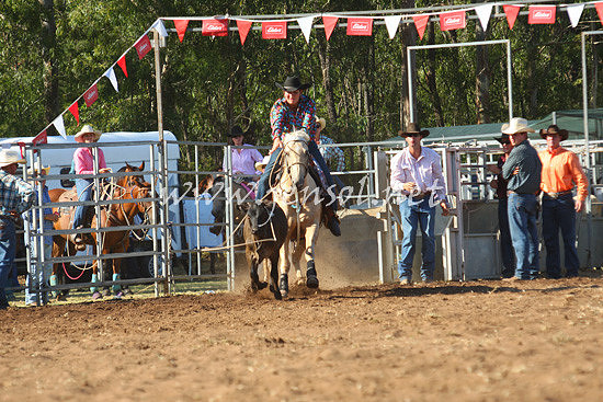 pictonrodeo2013one_0816_1