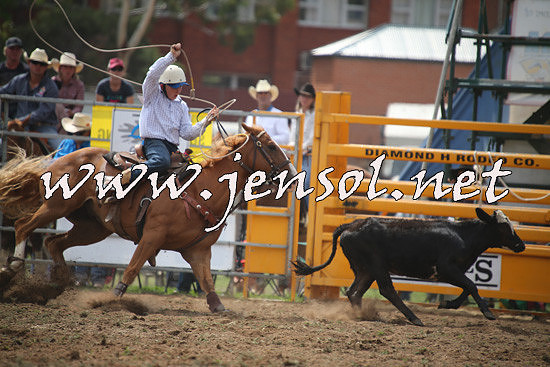 QueanbeyanRodeo2014_0966