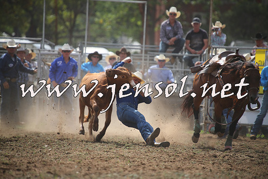 QueanbeyanRodeo2014_0678