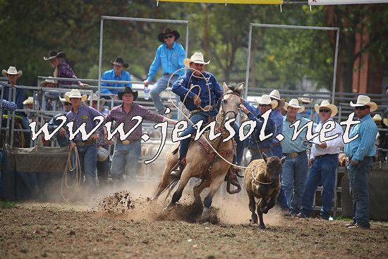 QueanbeyanRodeo2014_0978