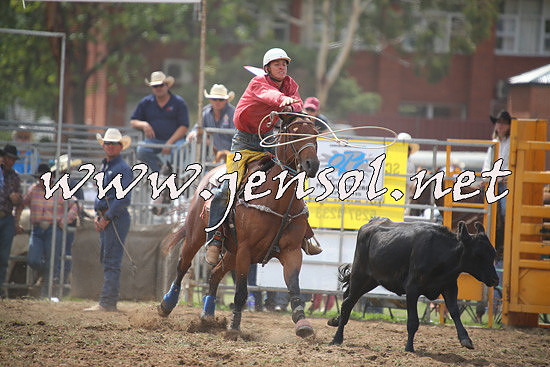 QueanbeyanRodeo2014_0943
