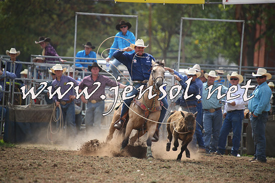 QueanbeyanRodeo2014_0976