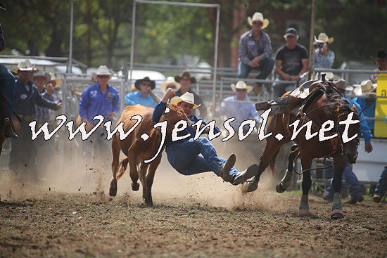 QueanbeyanRodeo2014_0681