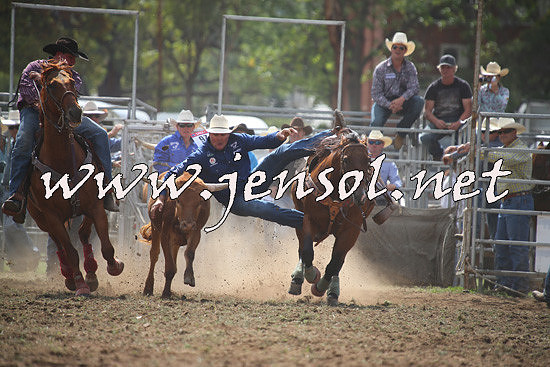 QueanbeyanRodeo2014_0676