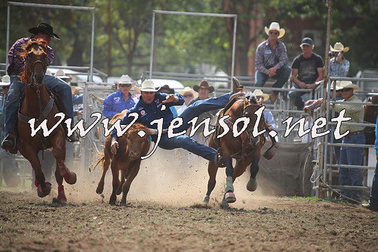QueanbeyanRodeo2014_0685