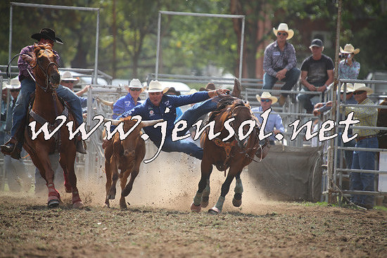 QueanbeyanRodeo2014_0677