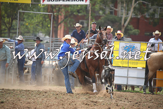 QueanbeyanRodeo2014_0999