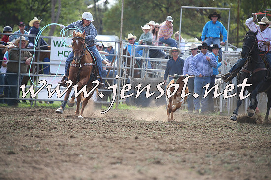 QueanbeyanRodeo2014_0428