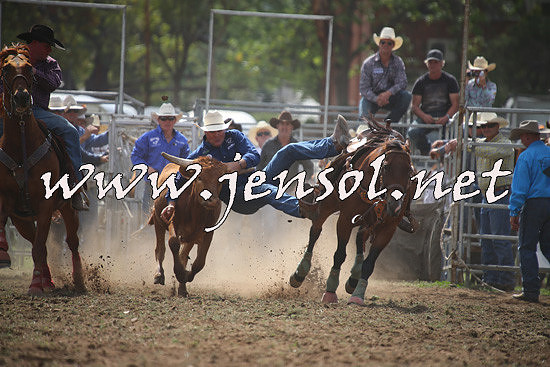QueanbeyanRodeo2014_0684