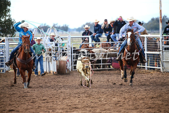 CoonambleRodeoCampdraftSat_0060