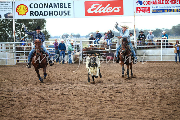 CoonambleRodeoCampdraftSat_0079