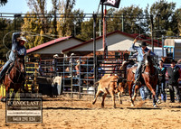 GrenfellRodeo2018_0449