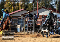 Team Roping