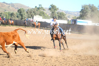 GundagaiGiddyup2013_1D_1046