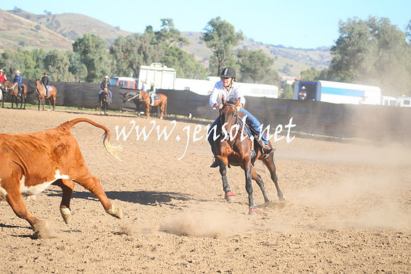 GundagaiGiddyup2013_1D_1046