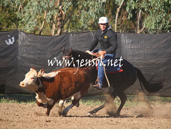 GundagaiGiddyup2013_1D_1026