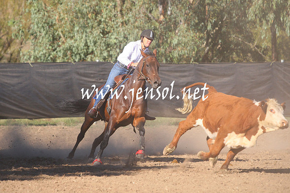 GundagaiGiddyup2013_1D_1039